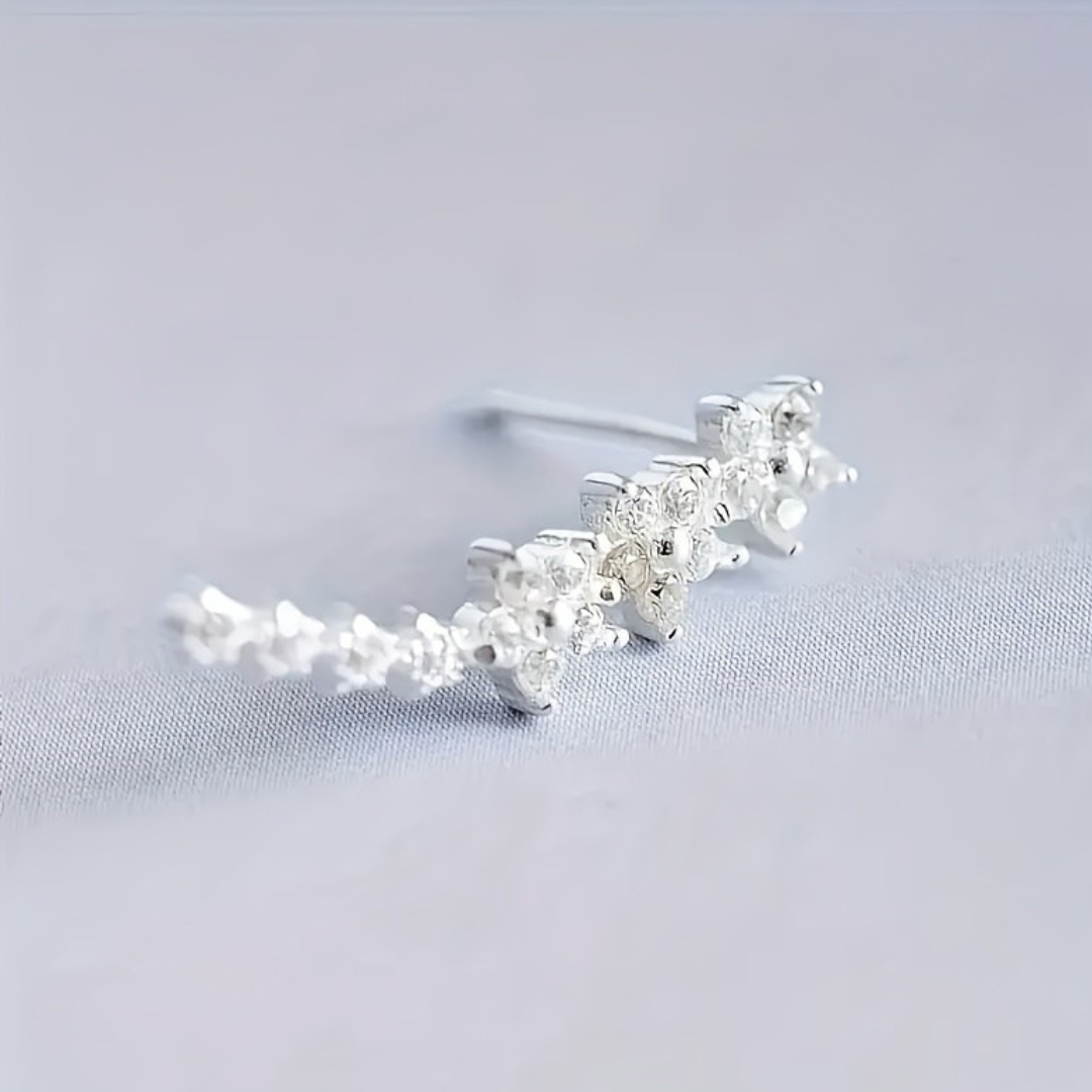 Caravanas trepadoras con zirconías l Plata 925