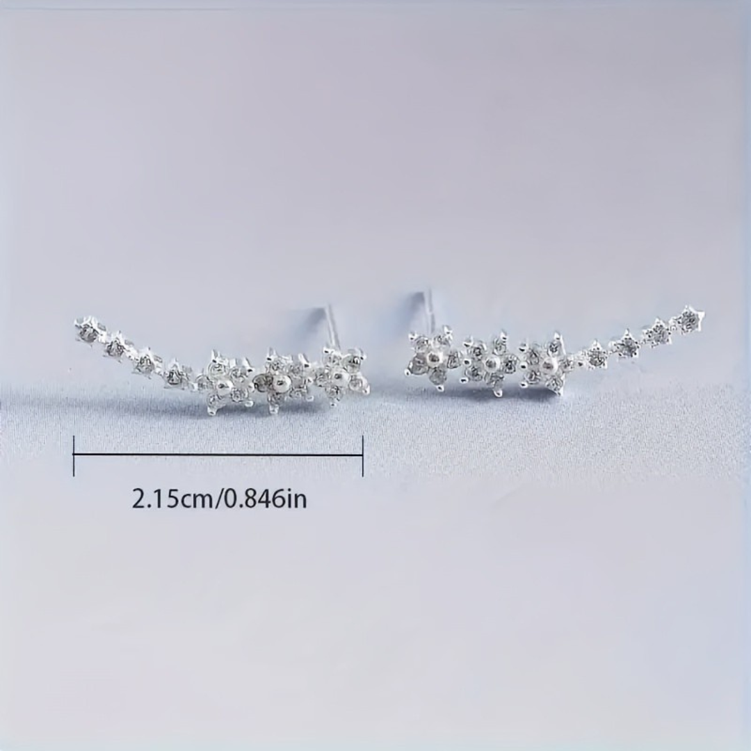 Caravanas trepadoras con zirconías l Plata 925