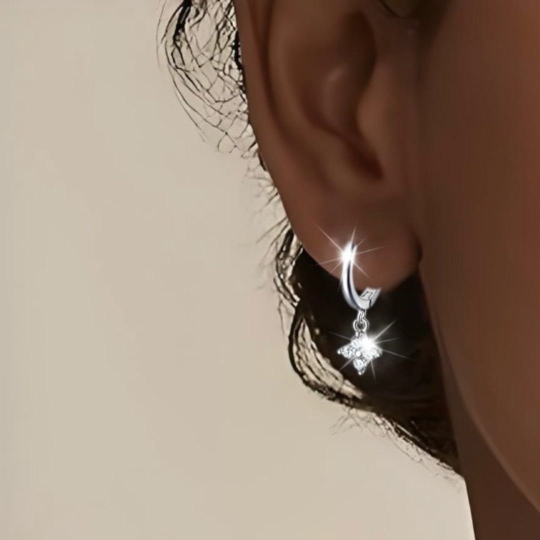 Caravanas Zirconías l Plata 925