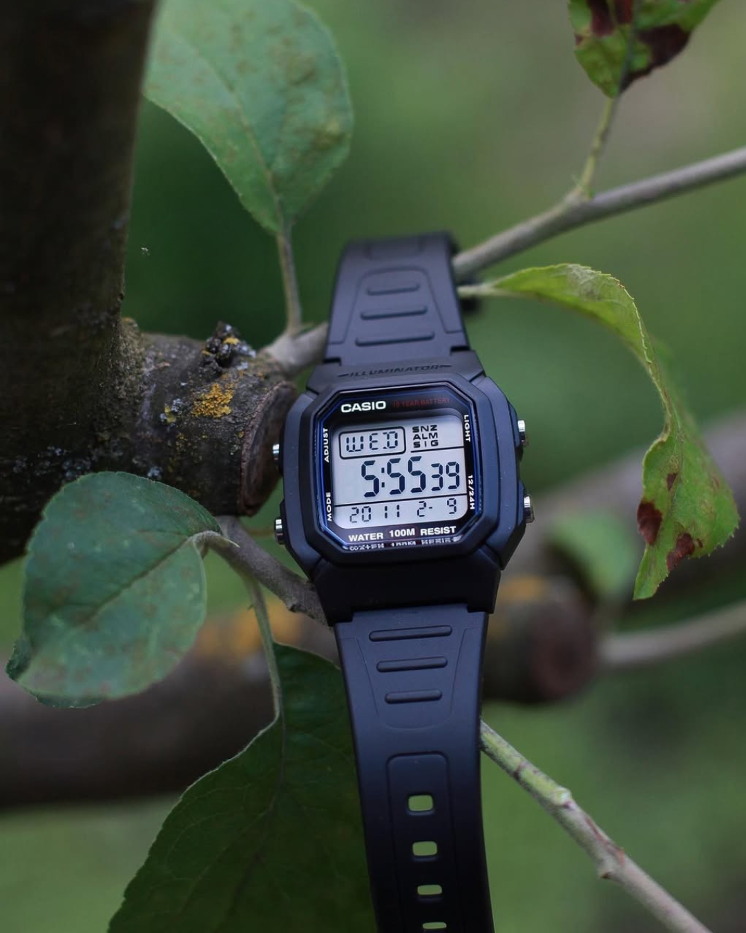 Reloj Casio l W-800H