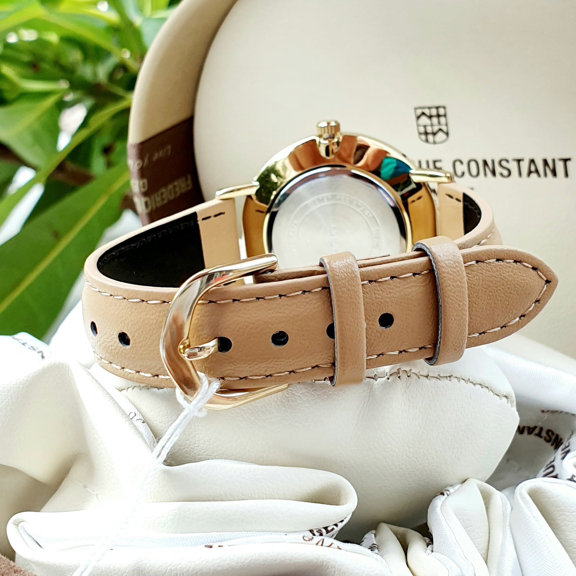 Reloj Casio l LTP-VT01GL l