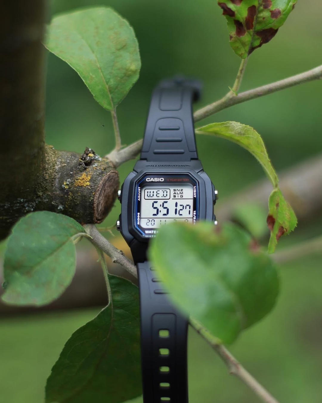 Reloj Casio l W-800H