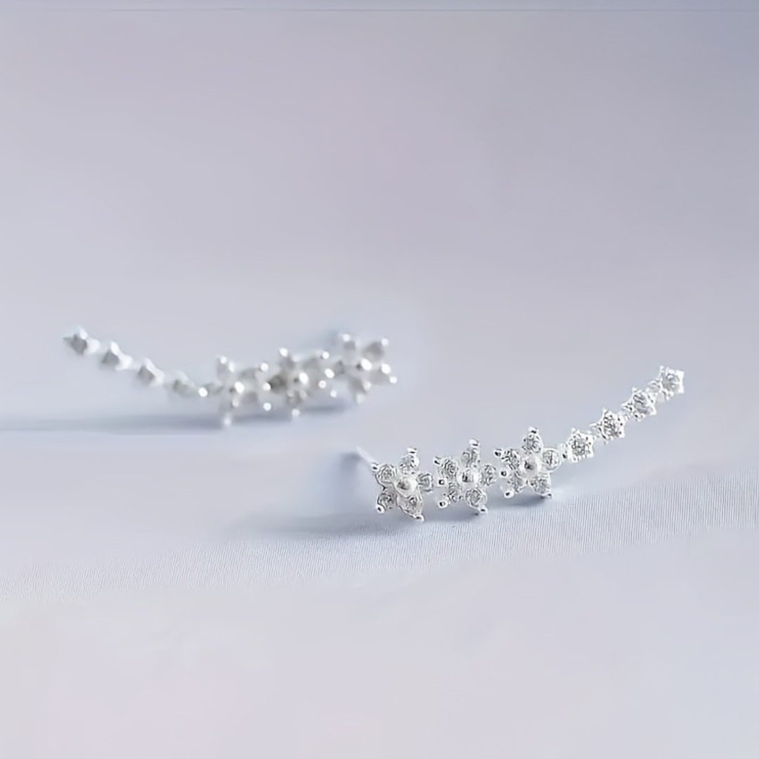Caravanas trepadoras con zirconías l Plata 925