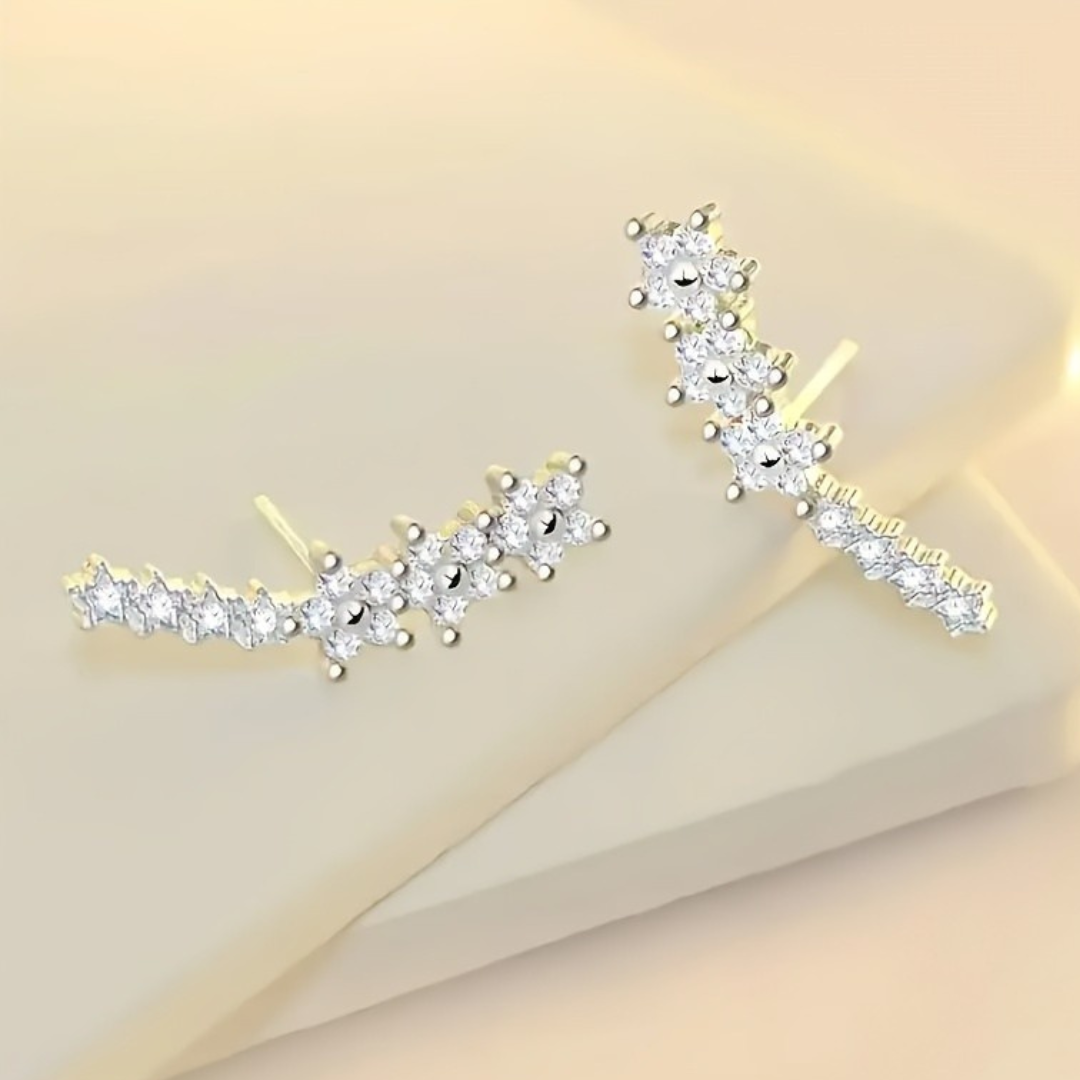 Caravanas trepadoras con zirconías l Plata 925