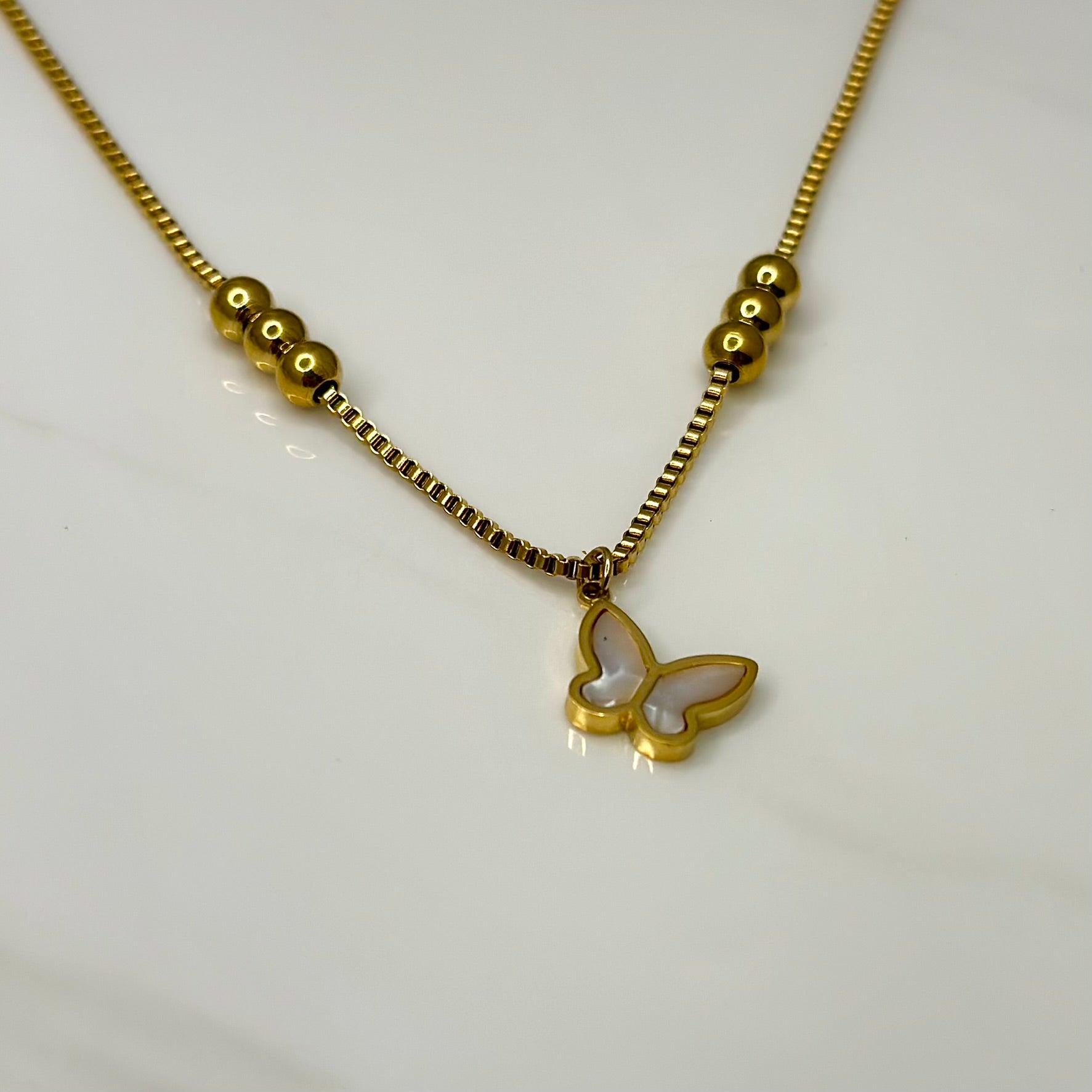 Collar Fly